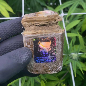 Bufalo Plein Hash