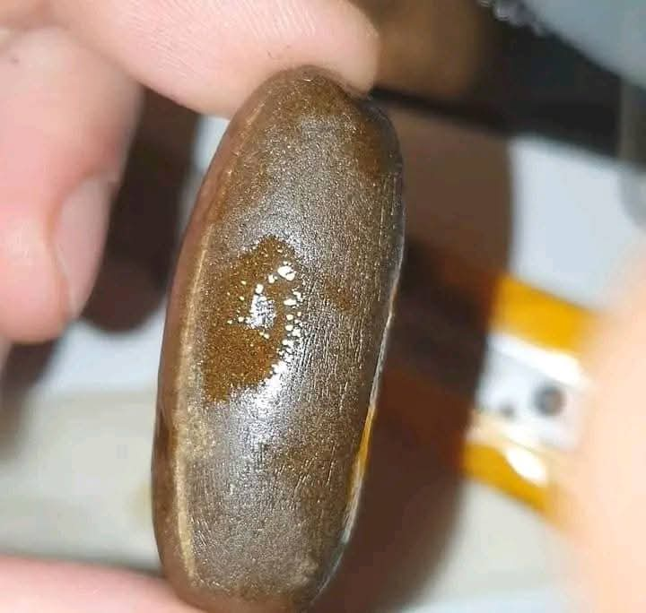 Kiwi Egg Hash