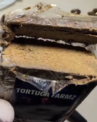Tortuga Farmz Hash