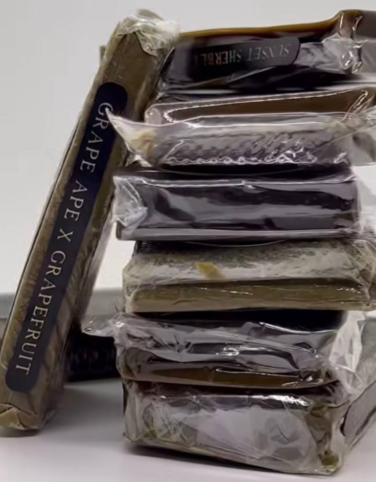 ELEMENTRA LAB HASH
